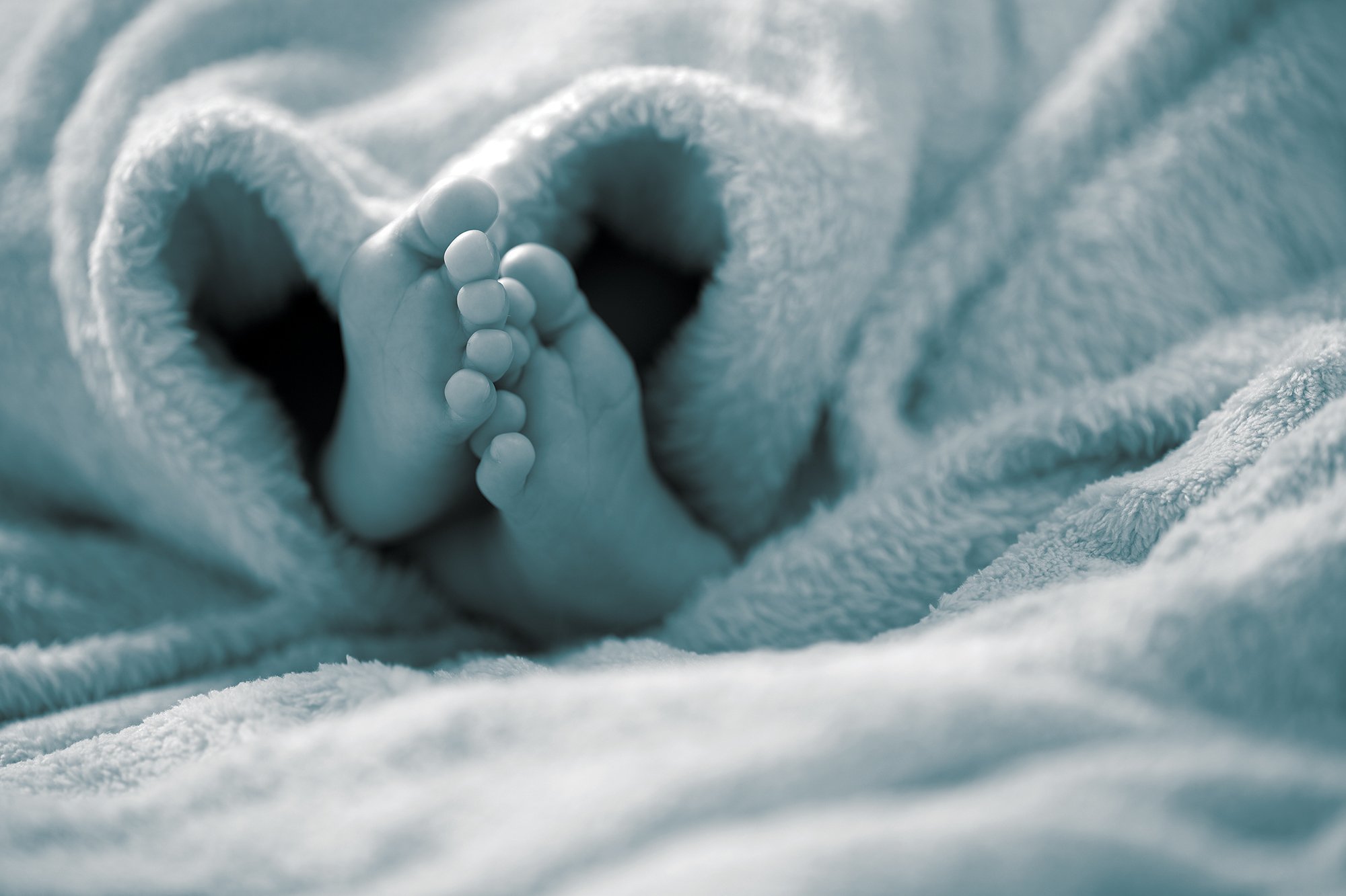 Κάνε Εισφορά